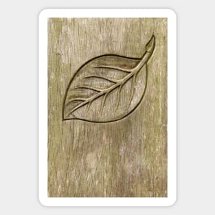 Engraved leaf Magnet